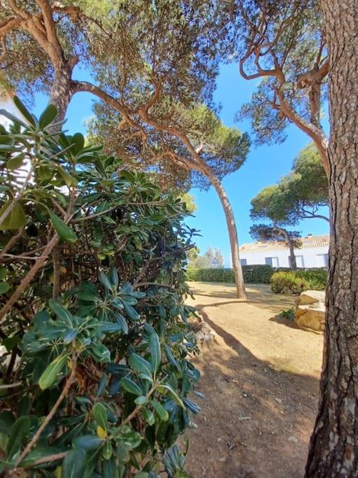Apartamento Roc Mar Llafranc Zewnętrze zdjęcie
