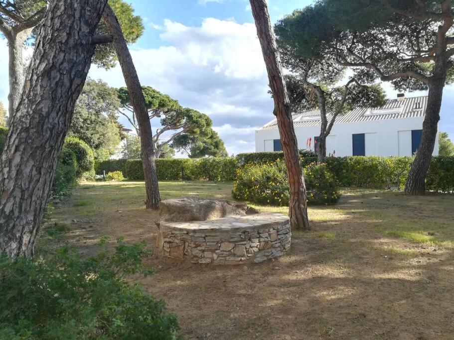 Apartamento Roc Mar Llafranc Zewnętrze zdjęcie